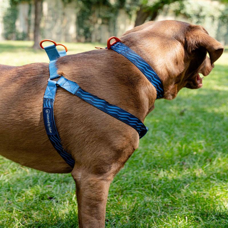 (R)evolution Woven Dog Harness